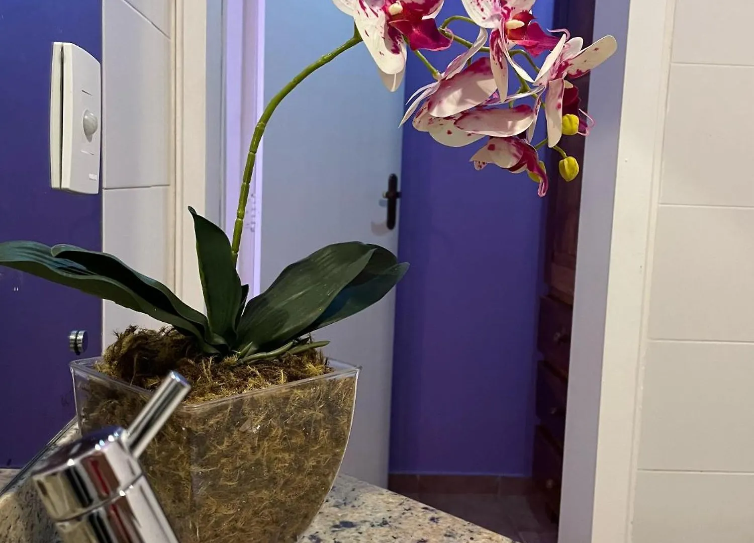 Flor De Ipe Hostel Natal